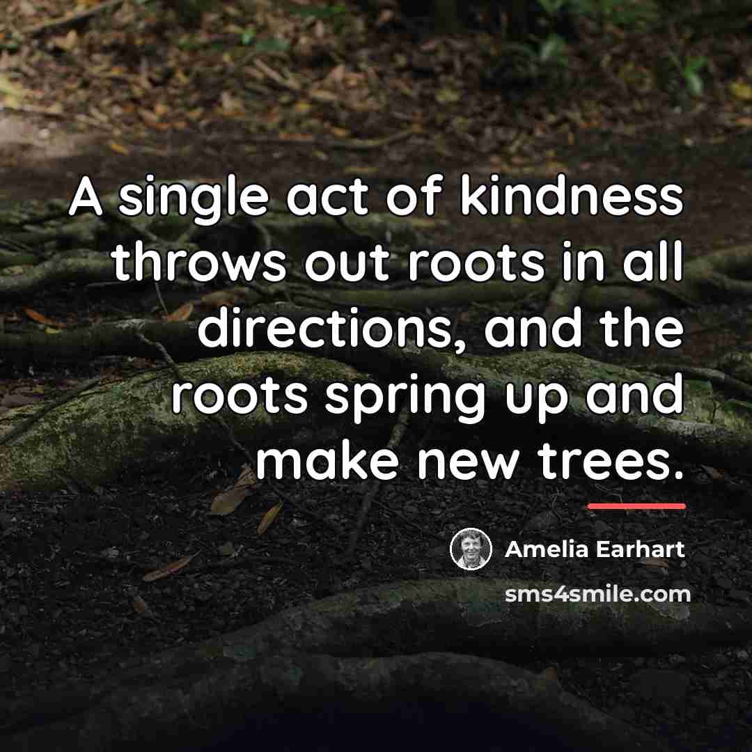 “A single act of kindness throws out roots in all…” quote by Amelia Earhart