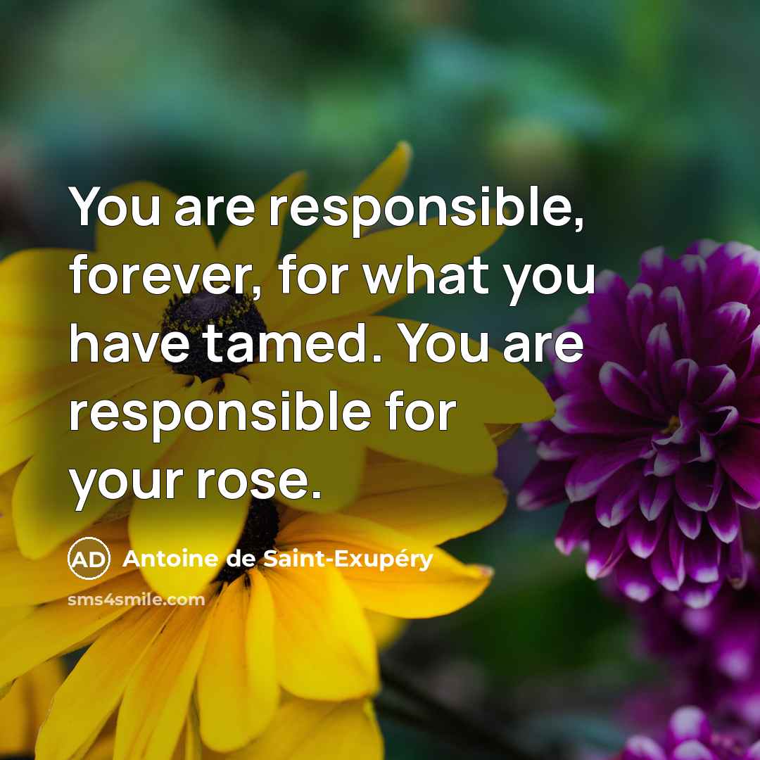 “You are responsible, forever, for what you have tamed. You…” quote by Antoine De Saint-Exupery
