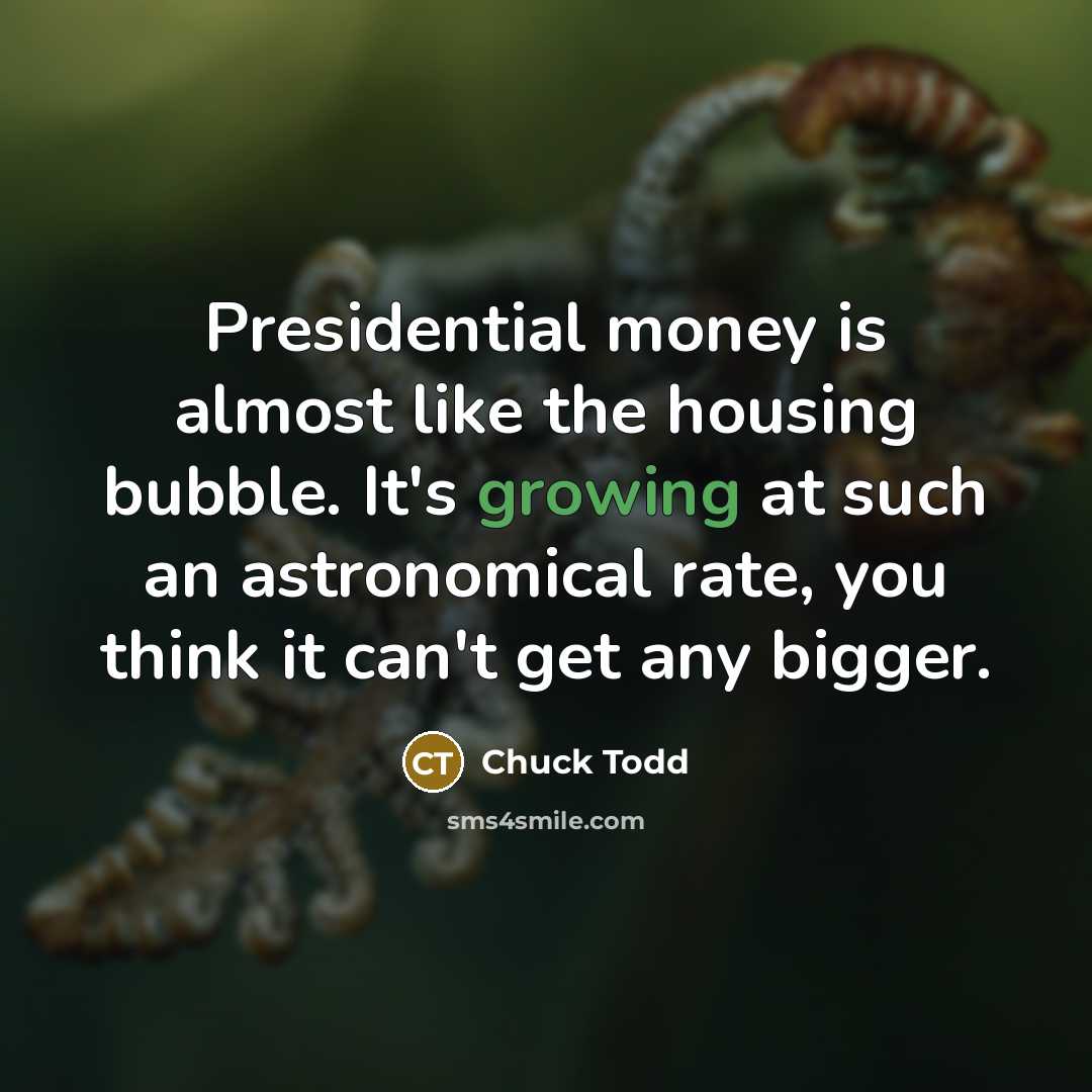 “Presidential money is almost like the housing bubble. It's growing…” quote by Chuck Todd