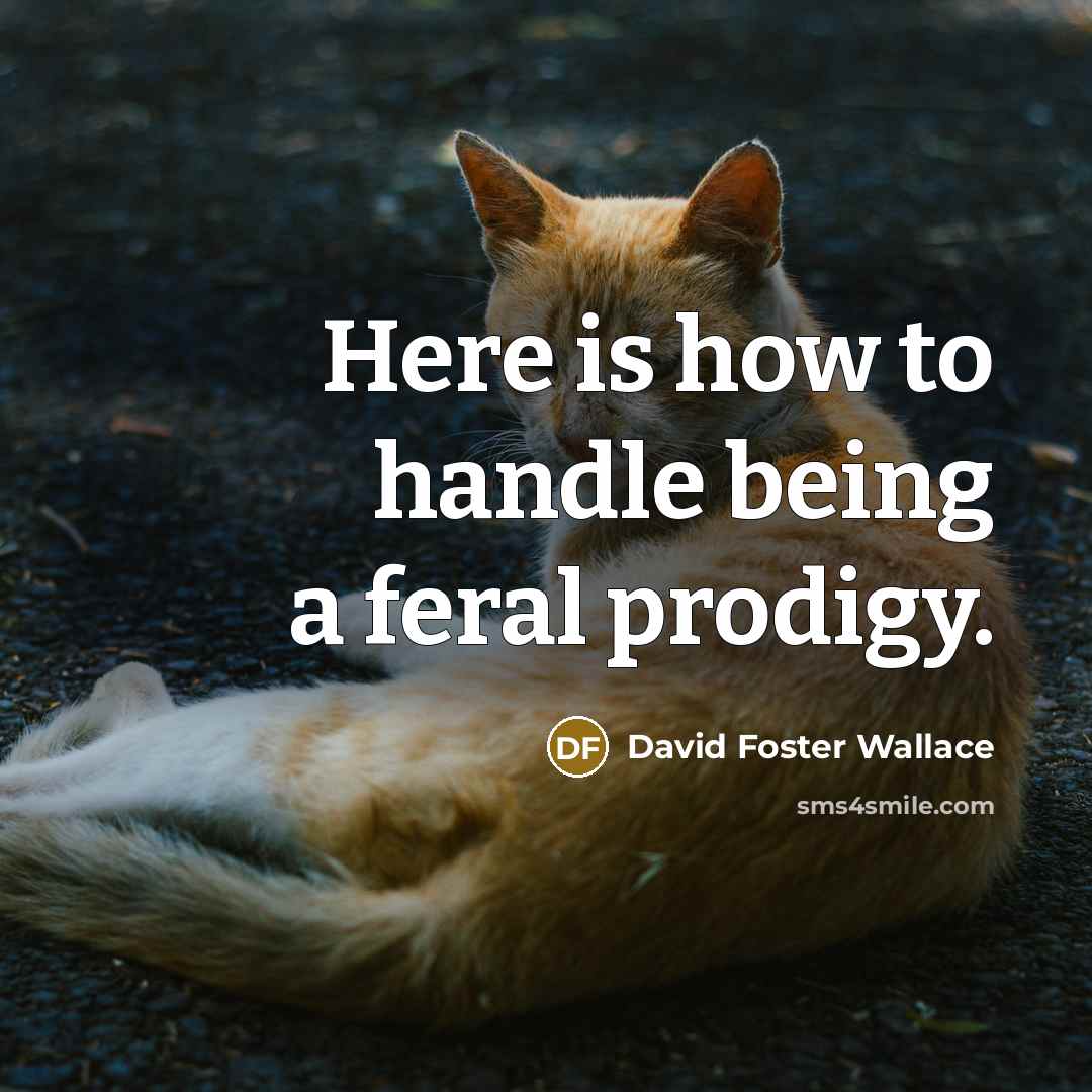 “Here is how to handle being a feral prodigy.” quote by David Foster Wallace
