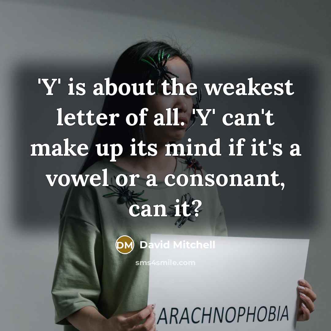 “'Y' is about the weakest letter of all. 'Y' can't…” quote by David Mitchell