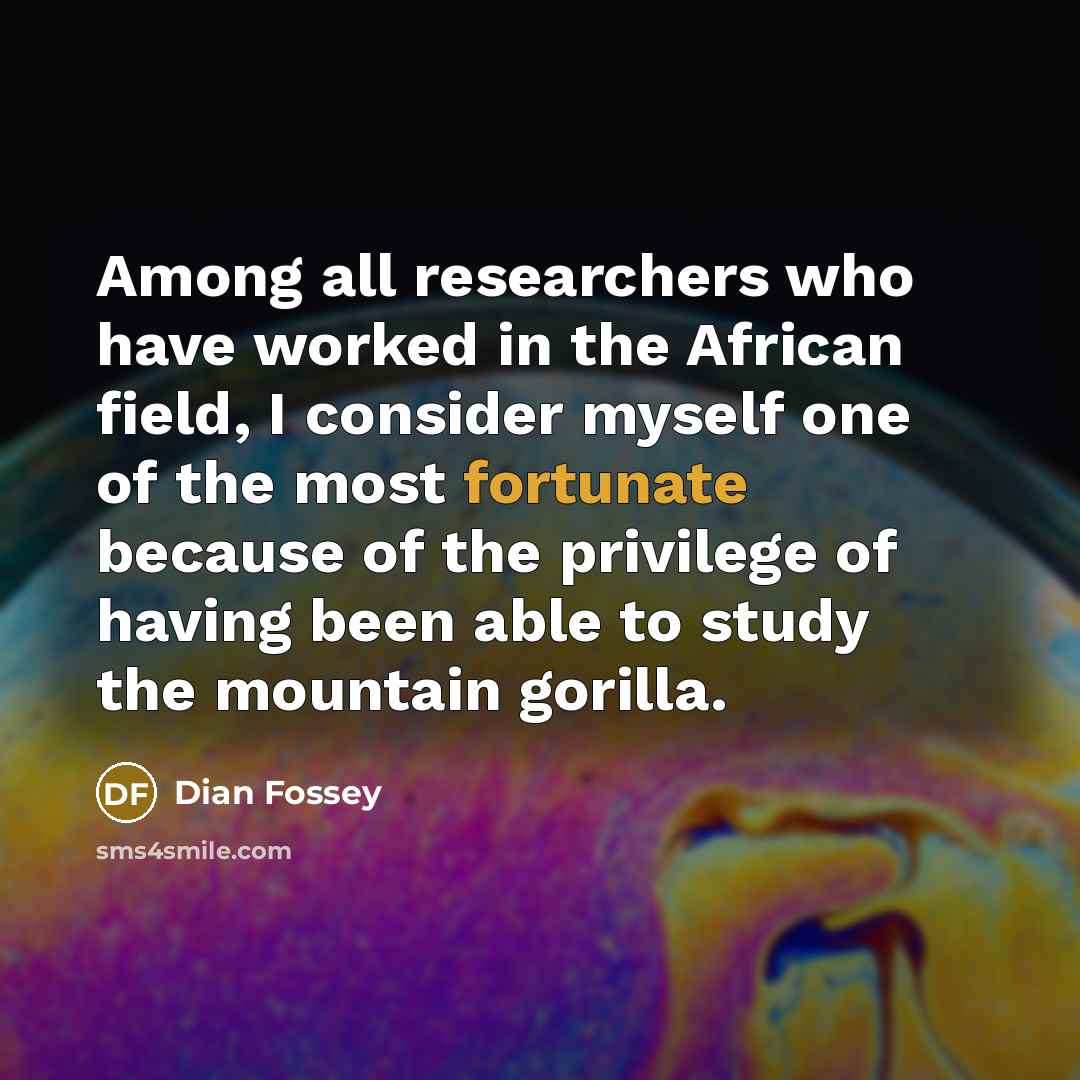 “Among all researchers who have worked in the African field, I consider myself one of the most fortunate because of the privilege of having been able to study the mountain gorilla.” quote by Dian Fossey