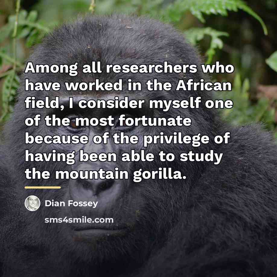 “Among all researchers who have worked in the African field,…” quote by Dian Fossey