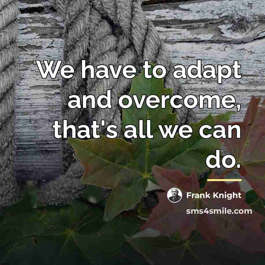 “We have to adapt and overcome, that's all we can…” quote by Frank Knight