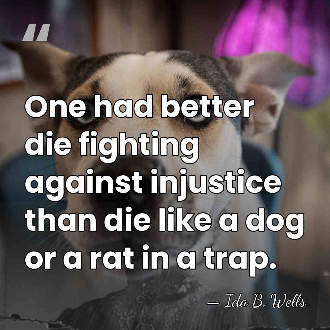 One had better die fighting against injustice than die like a dog&hellip; - Ida B. Wells