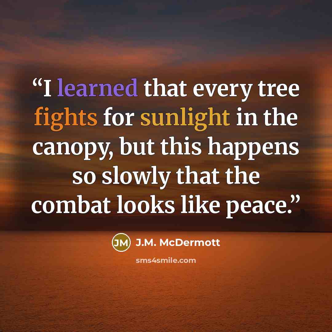 “I learned that every tree fights for sunlight in the canopy, but this happens so slowly that the combat looks like peace.” quote by J.M. McDermott