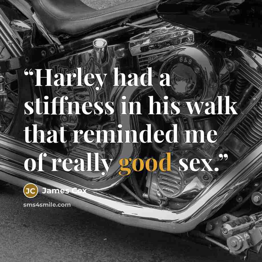 “Harley had a stiffness in his walk that reminded me of really good sex.” quote by James Cox