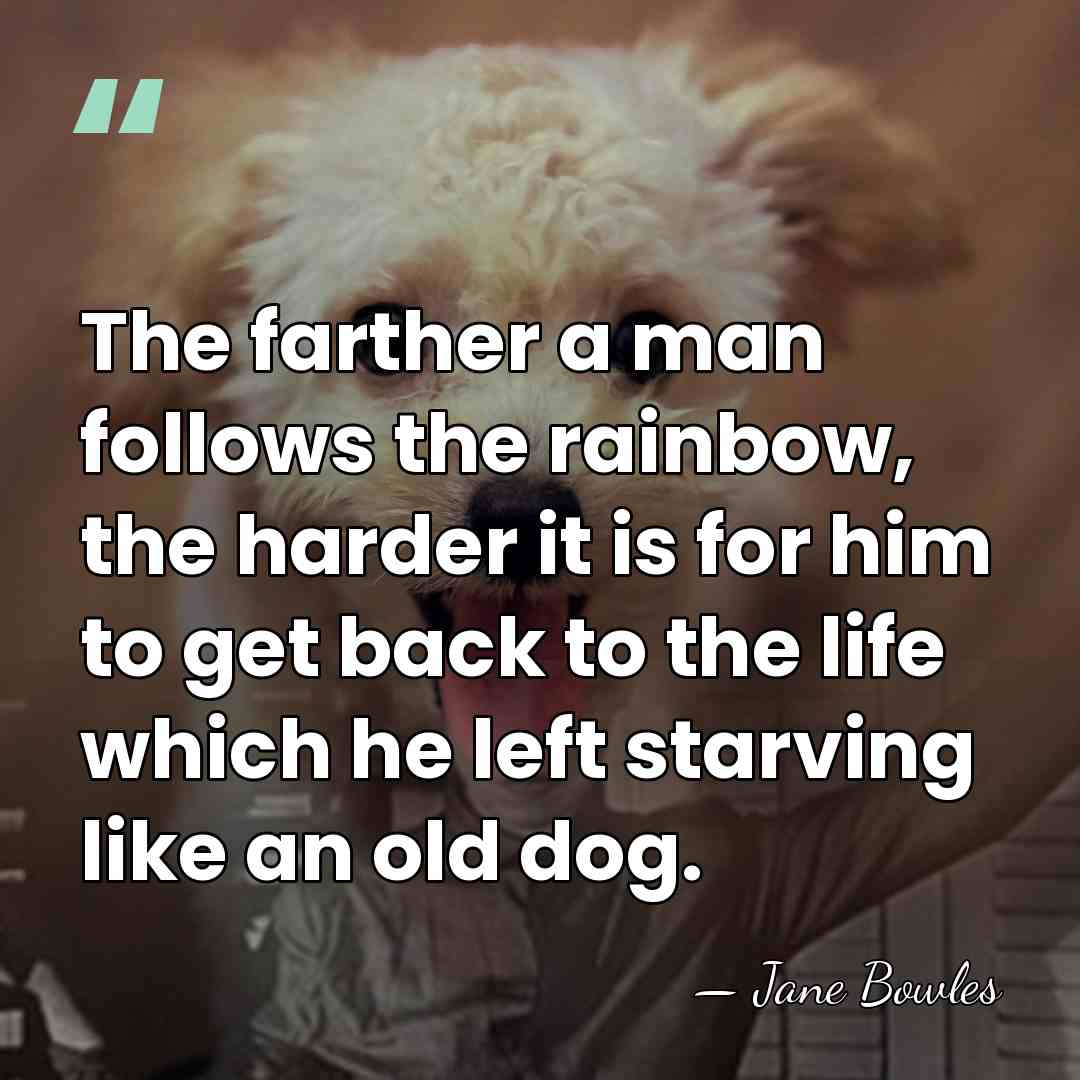 The farther a man follows the rainbow, the harder it is for&hellip; - Jane Bowles