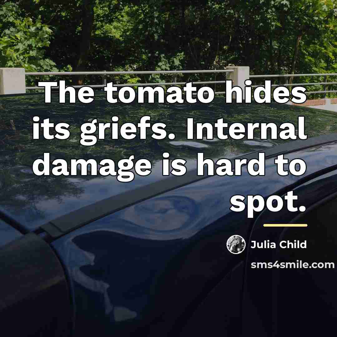 “The tomato hides its griefs. Internal damage is hard to…” quote by Julia Child