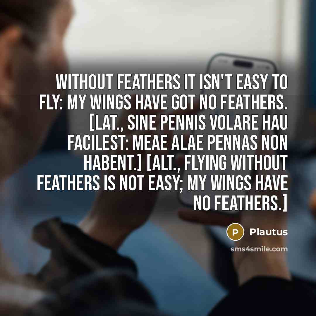“Without feathers it isn't easy to fly: my wings have…” quote by Plautus