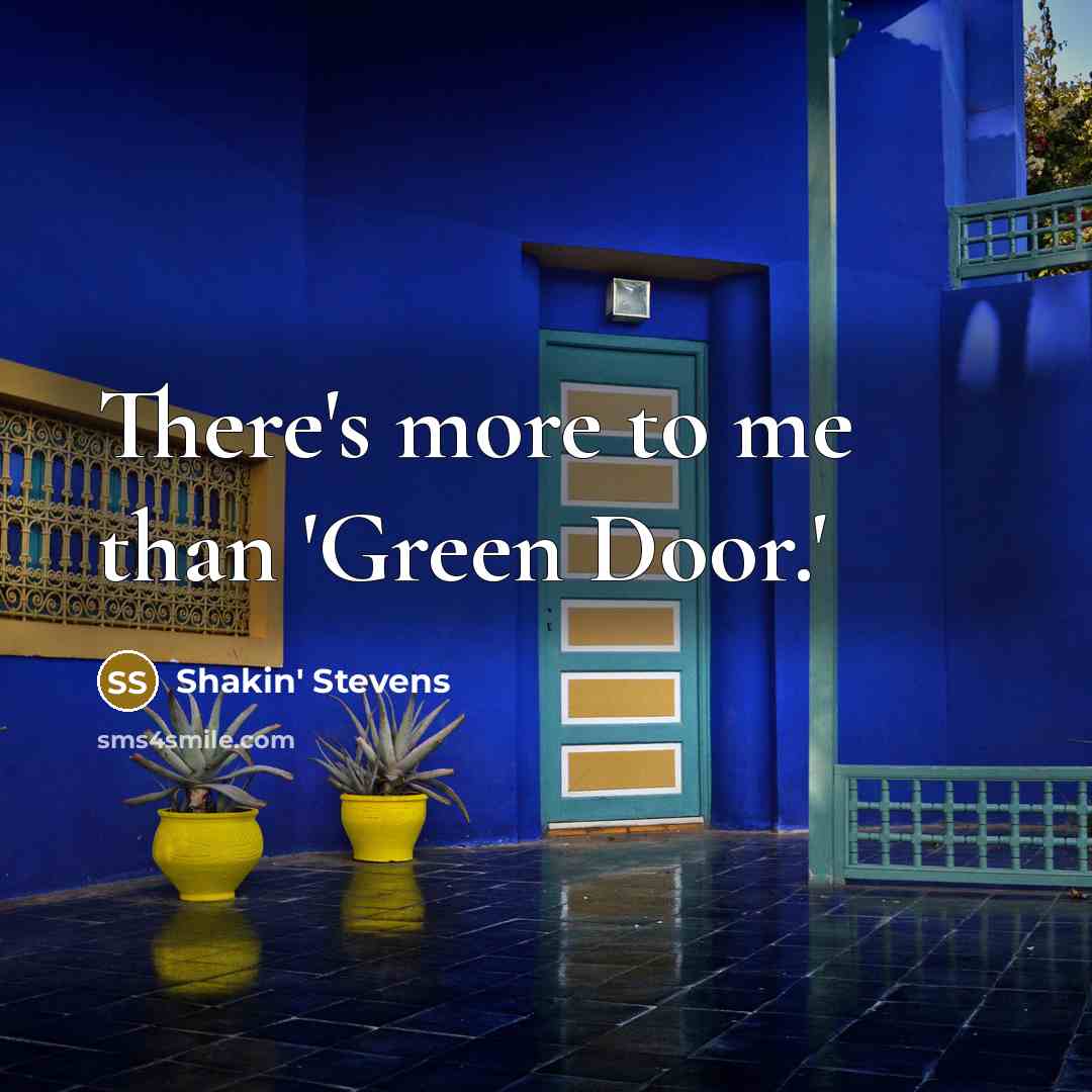 “There's more to me than 'Green Door.'…” quote by Shakin' Stevens