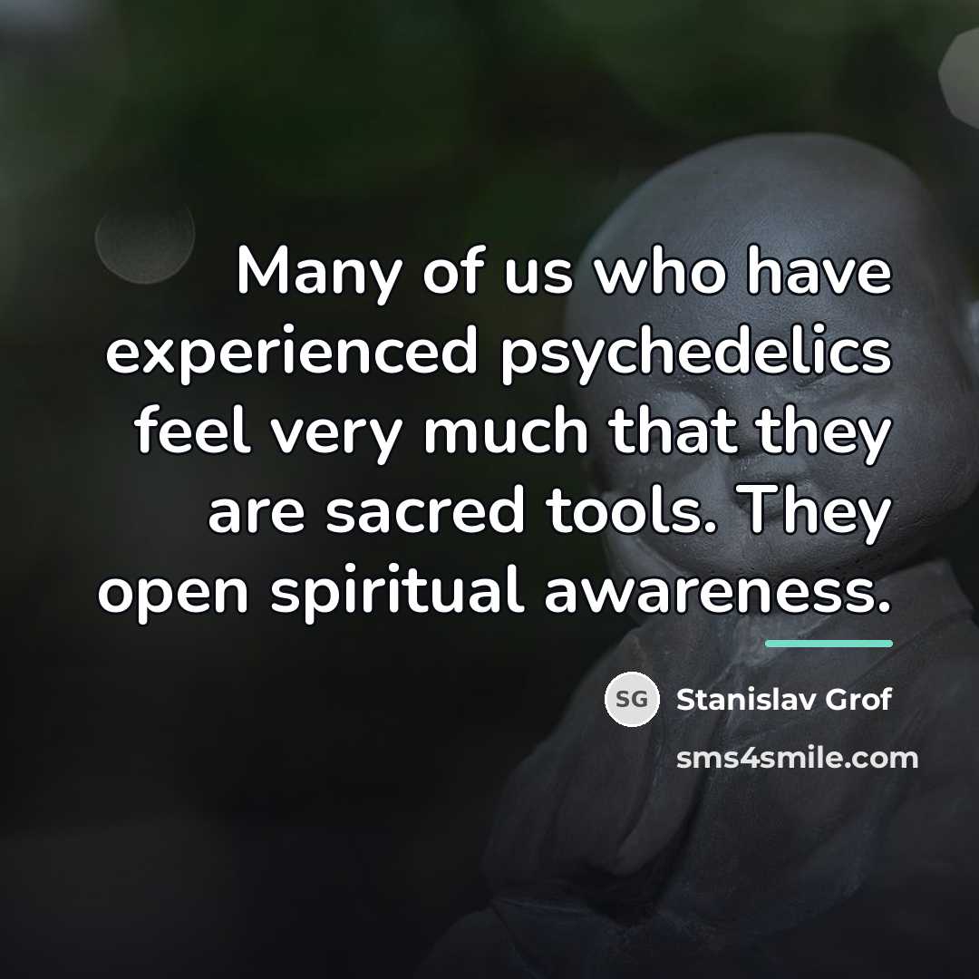 “Many of us who have experienced psychedelics feel very much…” quote by Stanislav Grof
