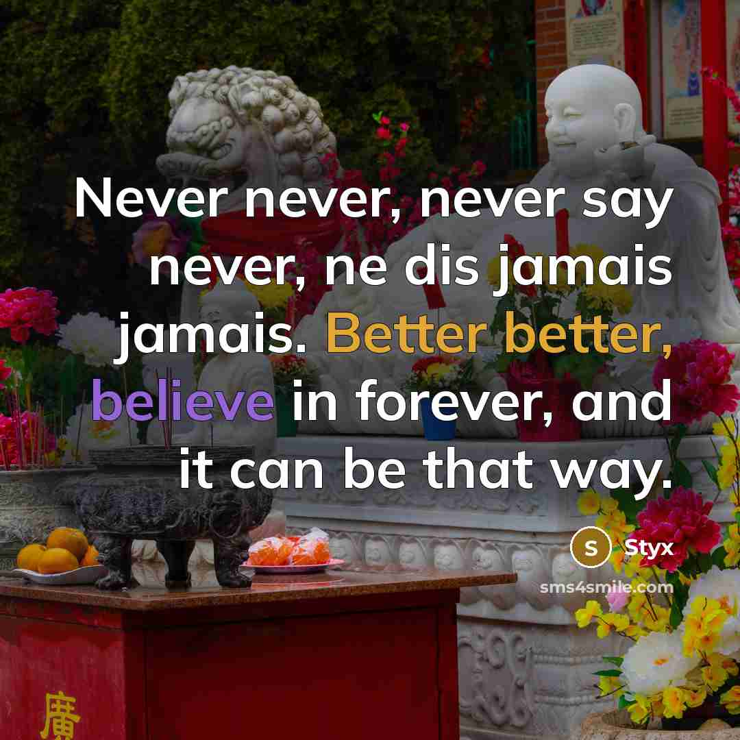 “Never never, never say never, ne dis jamais jamais. Better better, believe in forever, and it can be that way.” quote by Styx