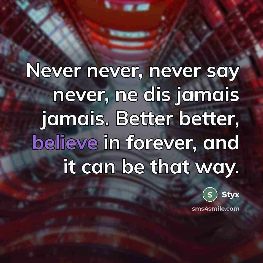 “Never never, never say never, ne dis jamais jamais. Better…” quote by Styx