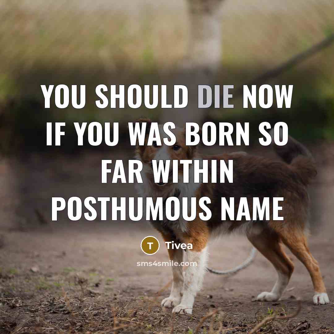 “You should die now if you was born so far…” quote by Tivea