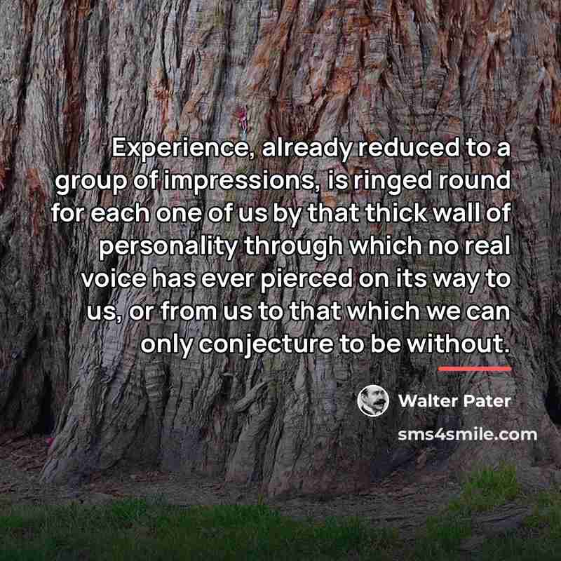 “Experience, already reduced to a group of impressions, is ringed…” quote by Walter Pater