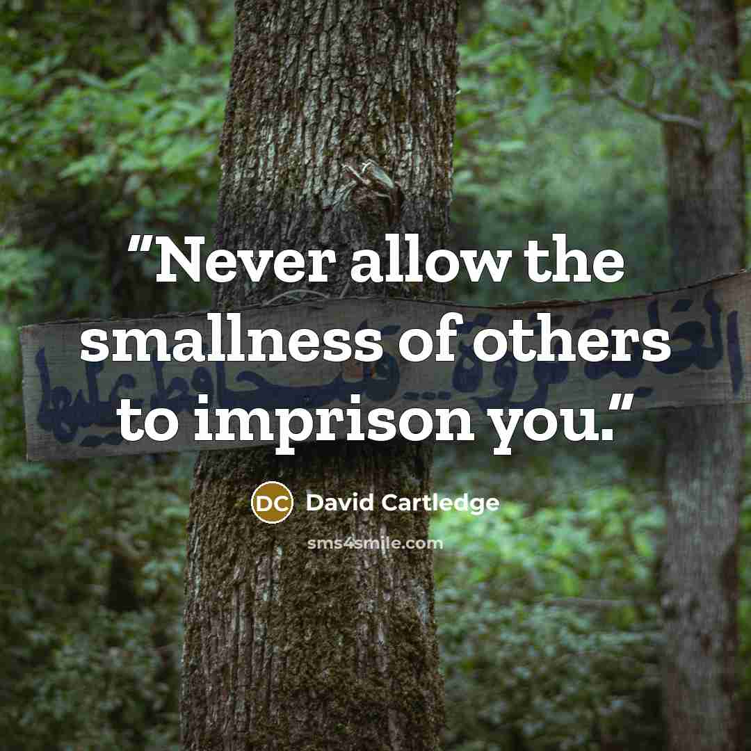 “Never allow the smallness of others to imprison you.” quote by David Cartledge