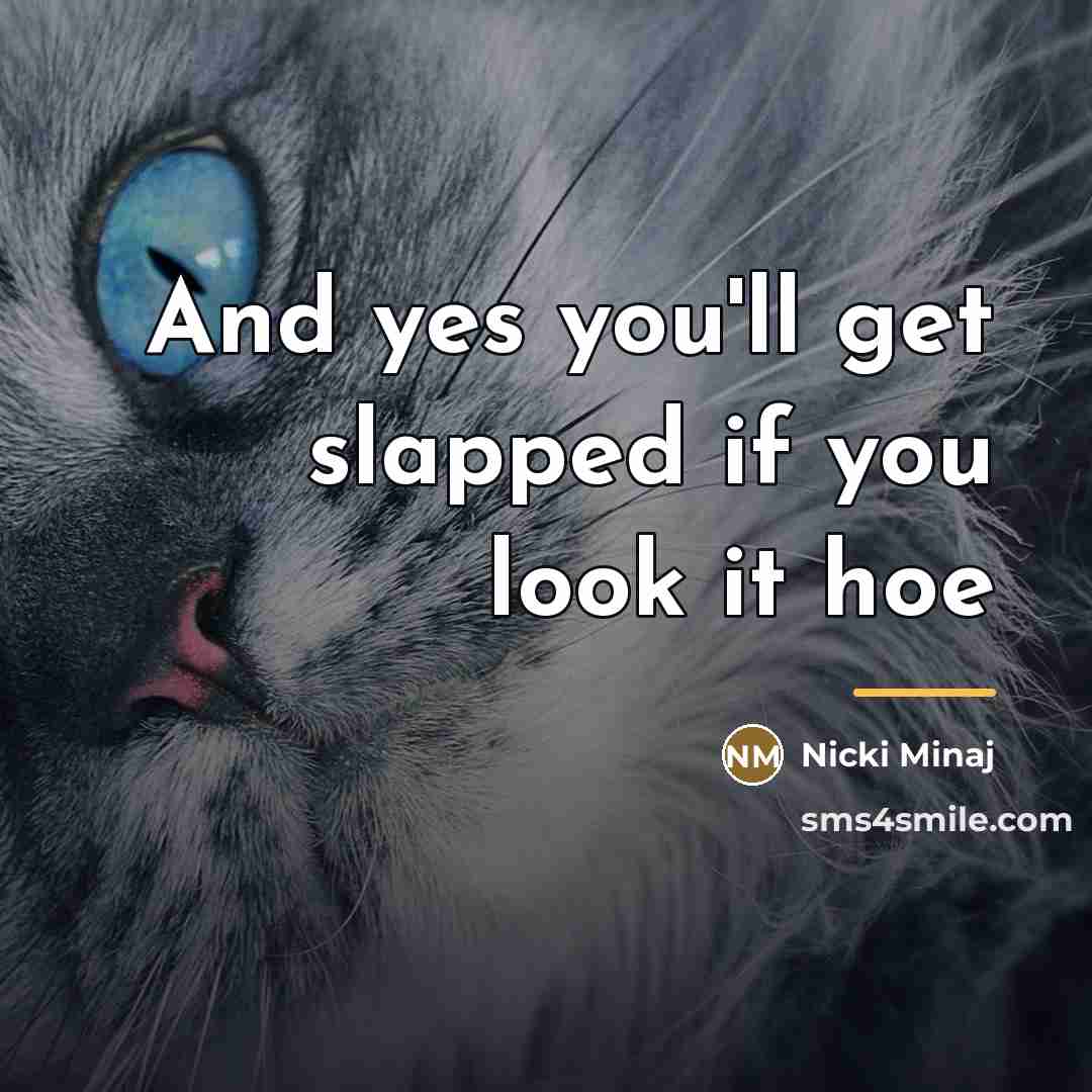 “And yes you'll get slapped if you look it hoe…” quote by Nicki Minaj
