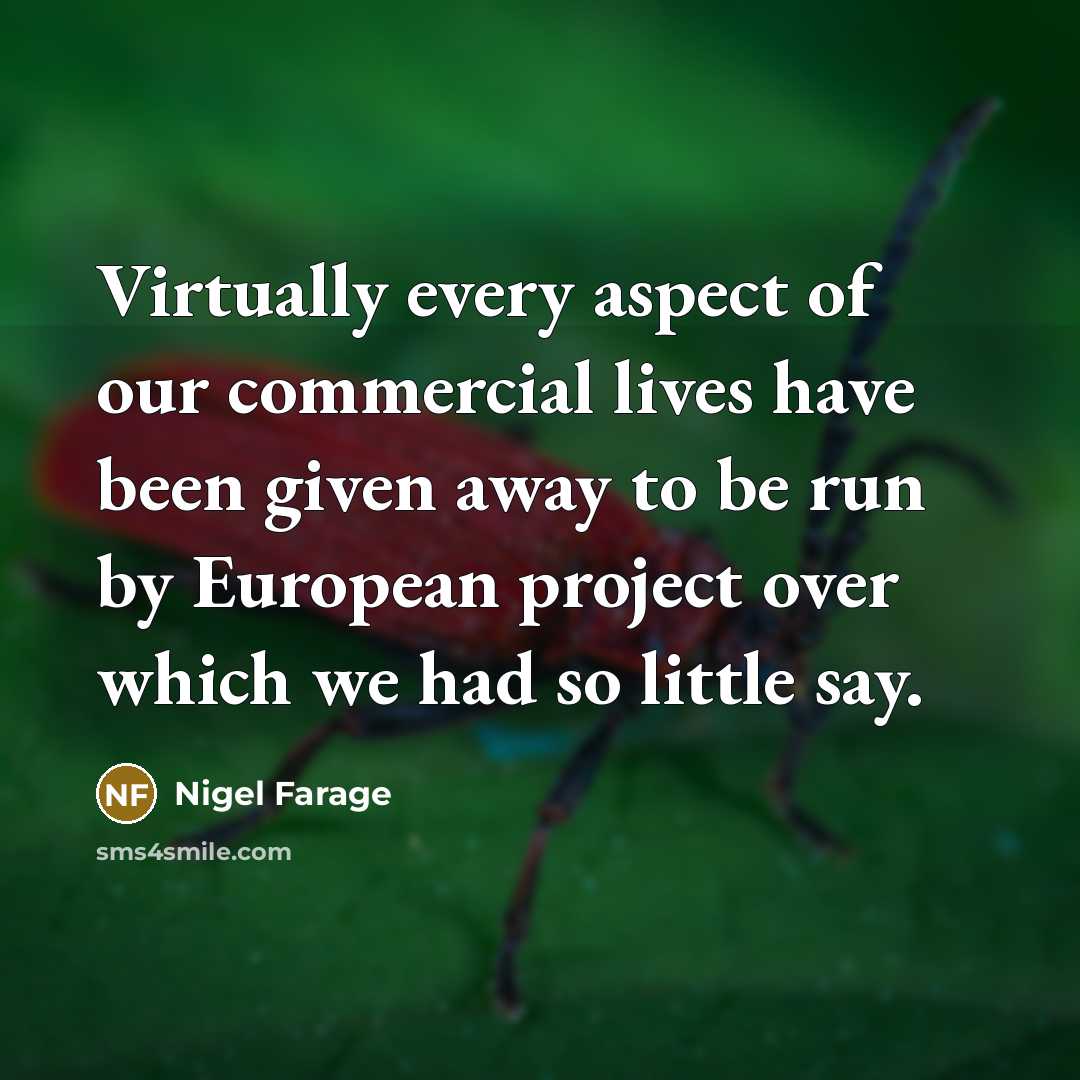 “Virtually every aspect of our commercial lives have been given away to be run by European project over which we had so little say.” quote by Nigel Farage