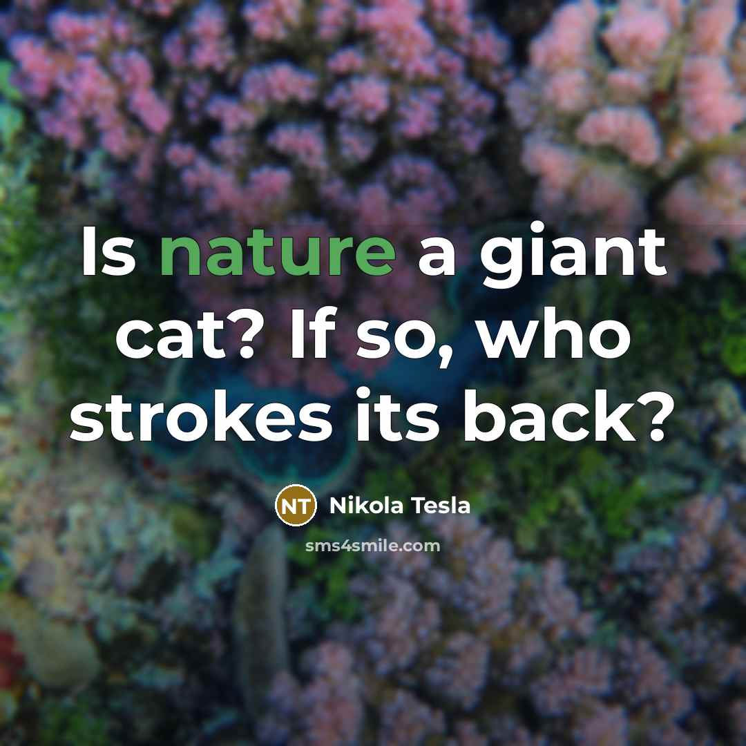 “Is nature a giant cat? If so, who strokes its…” quote by Nikola Tesla