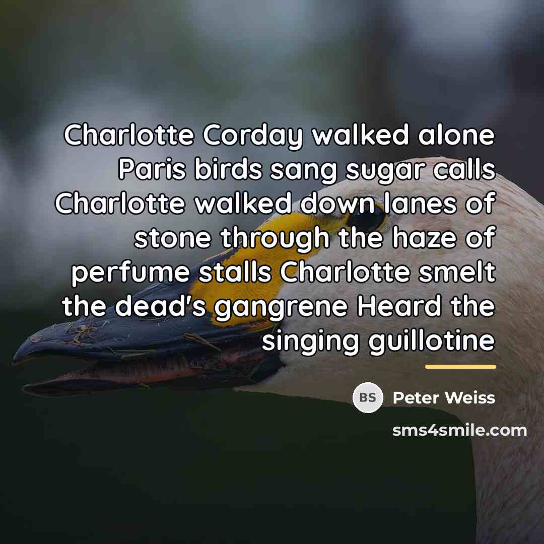 “Charlotte Corday walked alone Paris birds sang sugar calls Charlotte…” quote by Peter Weiss