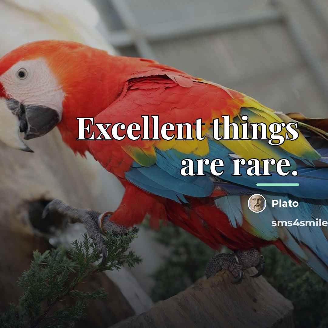 “Excellent things are rare.…” quote by Plato