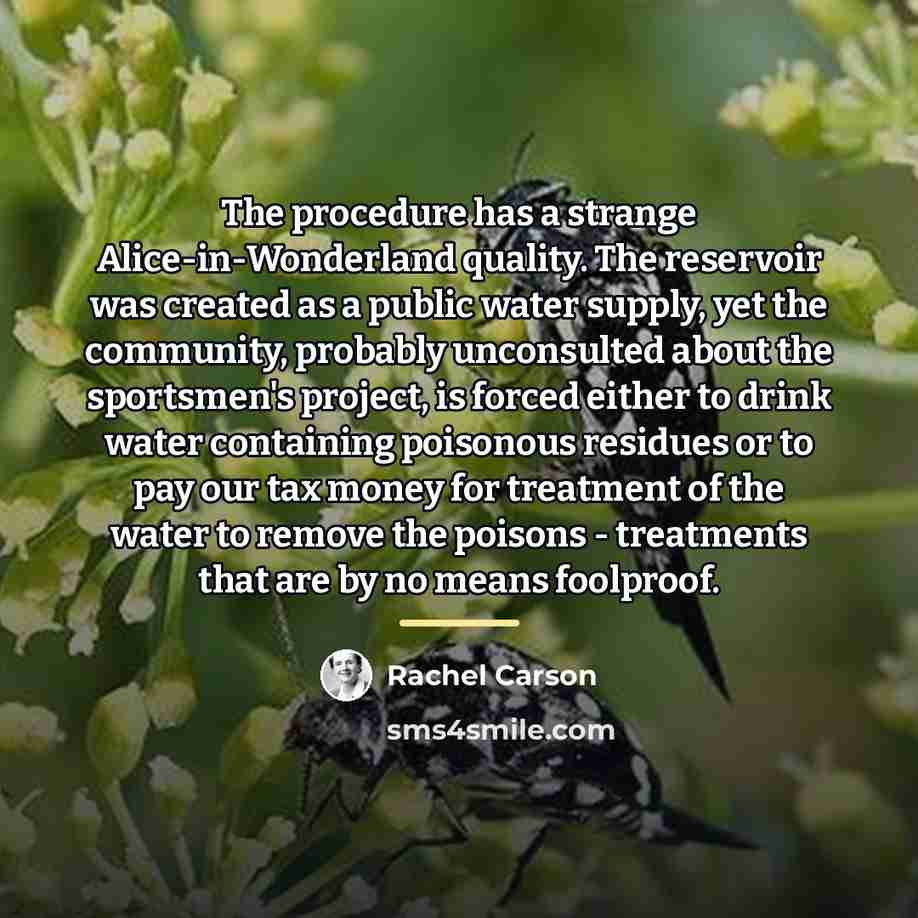 “The procedure has a strange Alice-in-Wonderland quality. The reservoir was…” quote by Rachel Carson