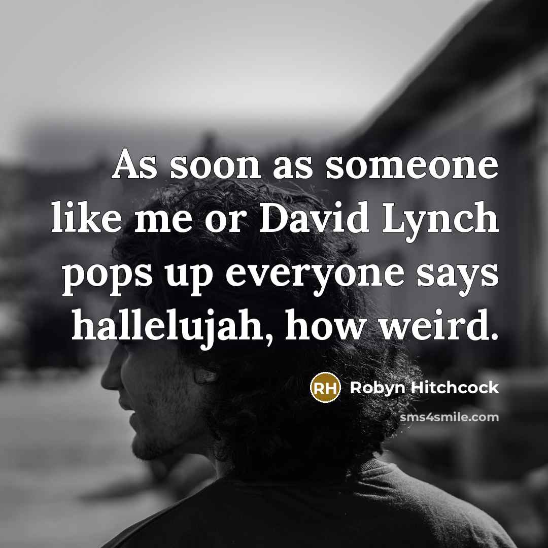 “As soon as someone like me or David Lynch pops…” quote by Robyn Hitchcock