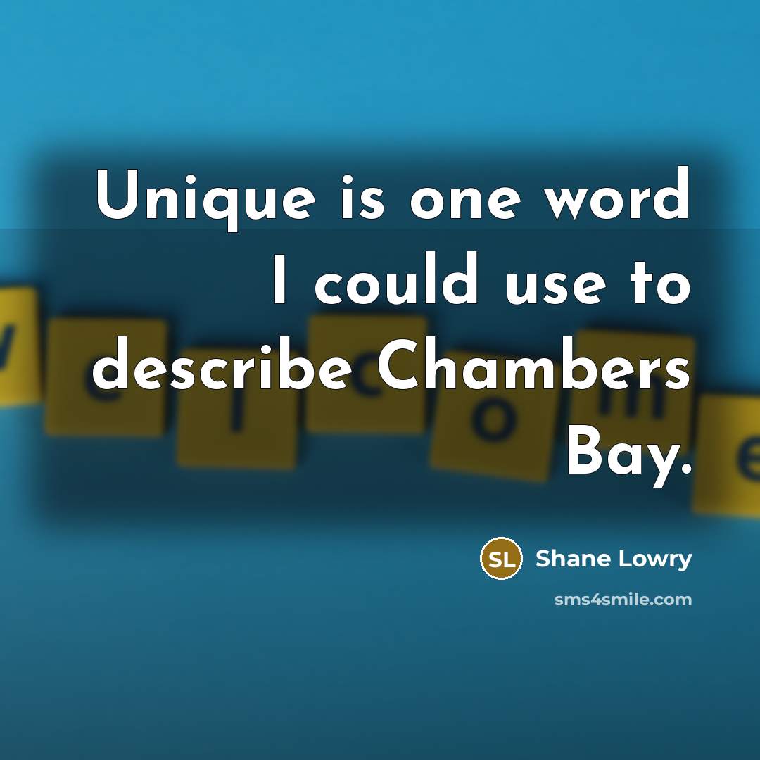“Unique is one word I could use to describe Chambers…” quote by Shane Lowry