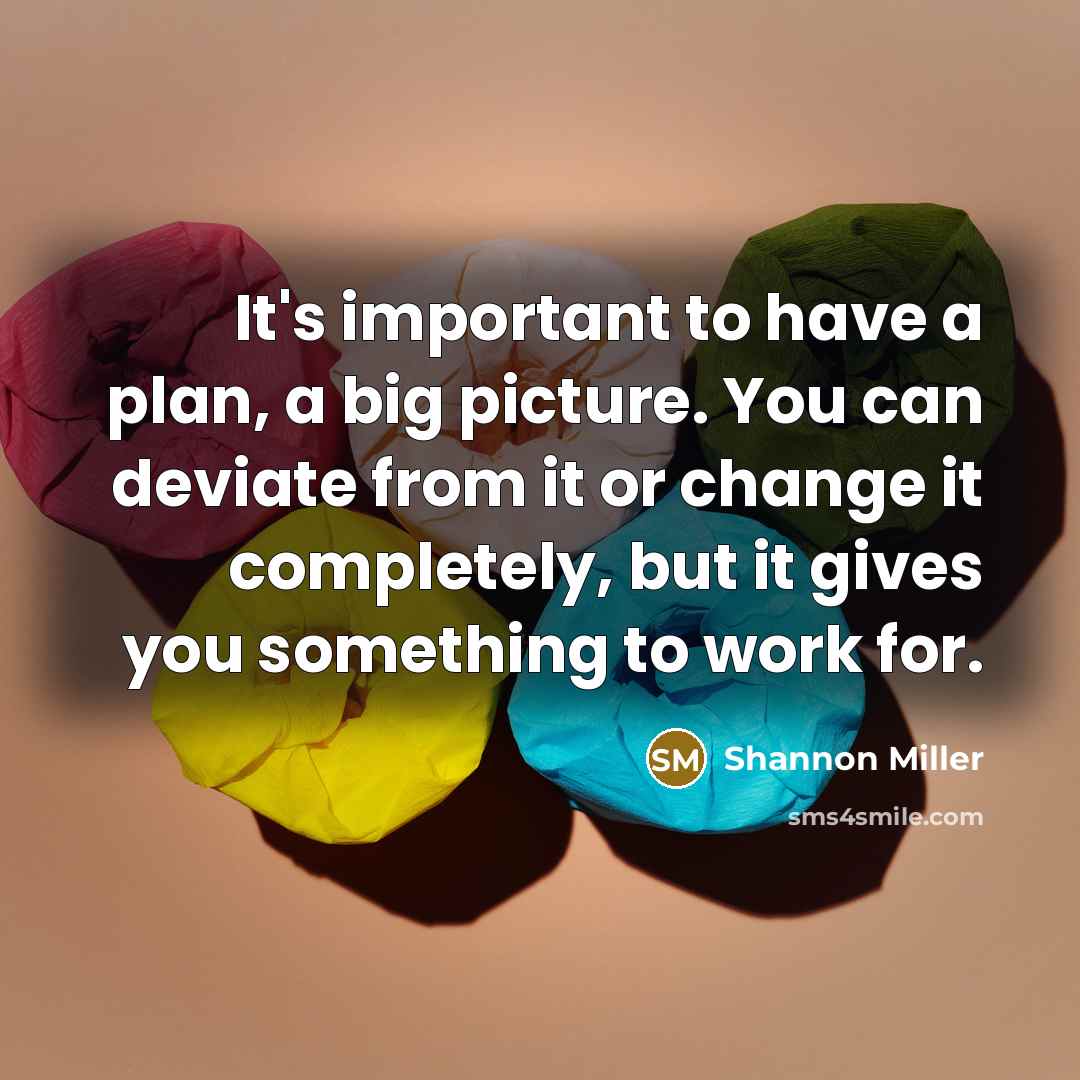 “It's important to have a plan, a big picture. You…” quote by Shannon Miller