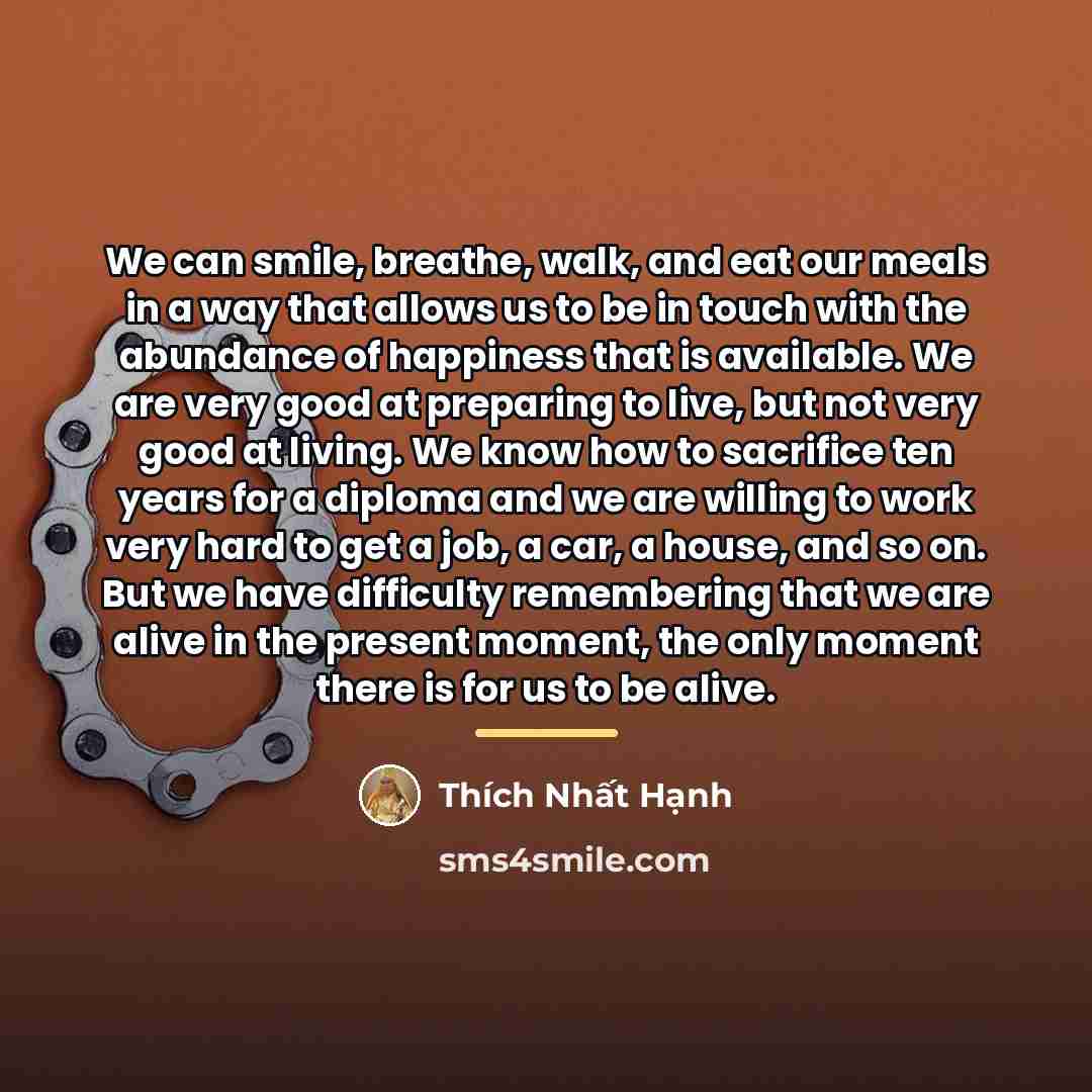 “We can smile, breathe, walk, and eat our meals in…” quote by THICH NHAT HANH