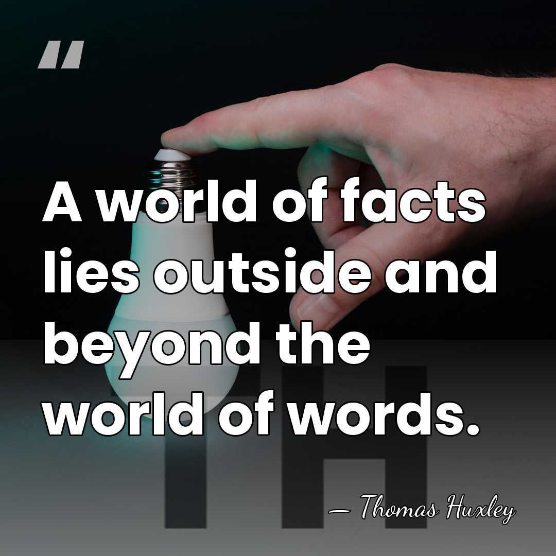 A world of facts lies outside and beyond the world of words. - Thomas Huxley