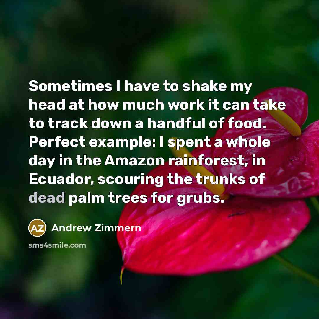 “Sometimes I have to shake my head at how much work it can take to track down a handful of food. Perfect example: I spent a whole day in the Amazon rainforest, in Ecuador, scouring the trunks of dead palm trees for grubs.” quote by Andrew Zimmern