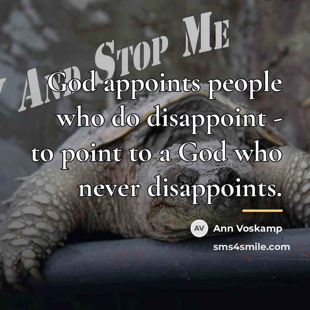 “God appoints people who do disappoint - to point to…” quote by Ann Voskamp