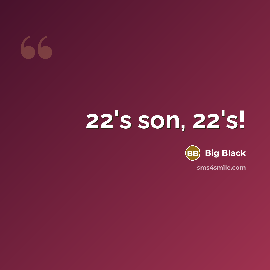 “22's son, 22's!…” quote by Big Black