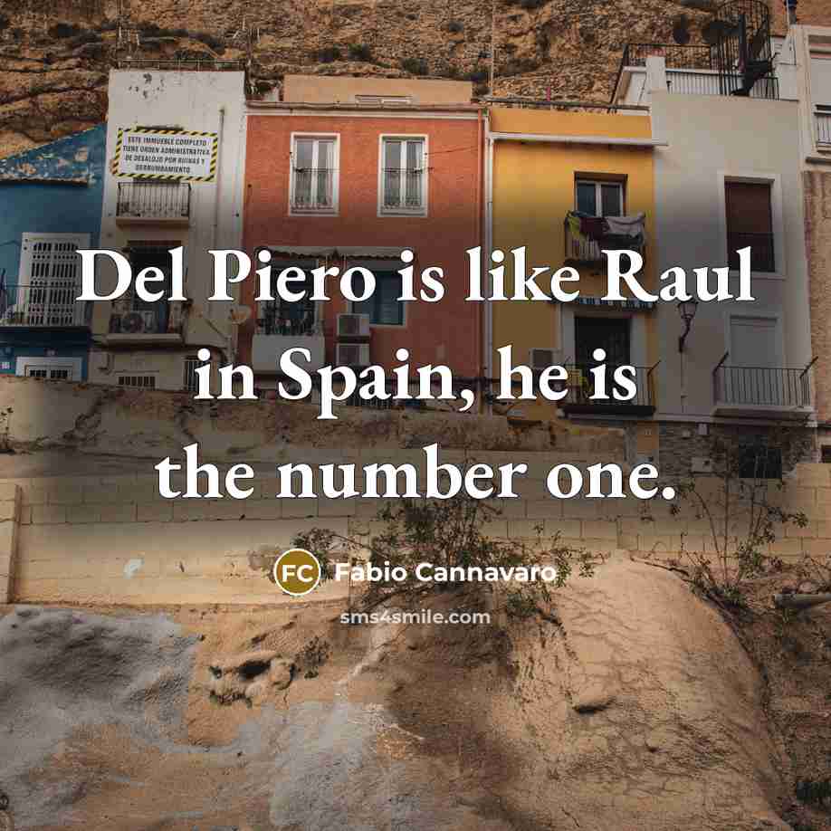 “Del Piero is like Raul in Spain, he is the…” quote by Fabio Cannavaro