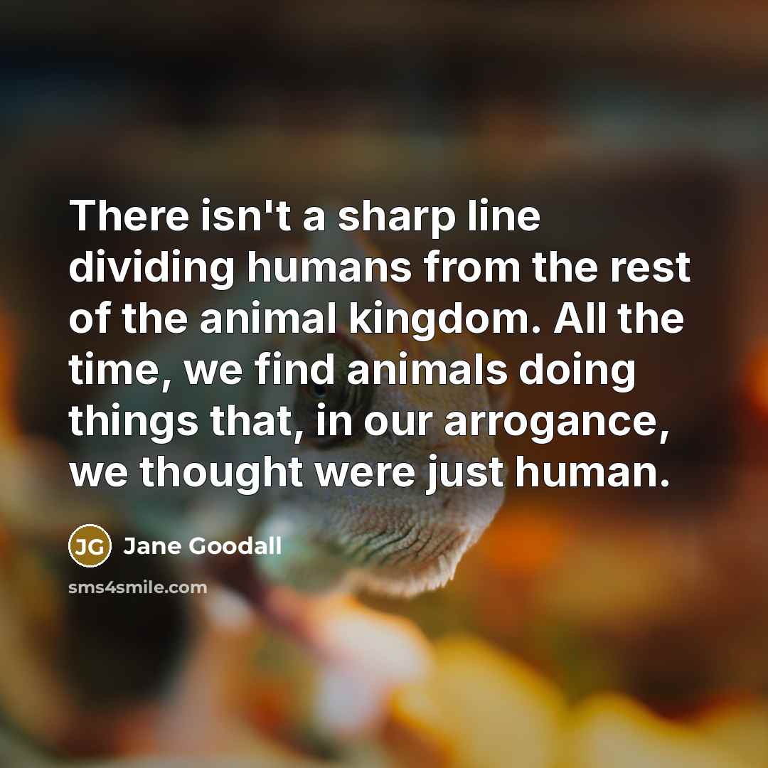 “There isn't a sharp line dividing humans from the rest…” quote by Jane Goodall