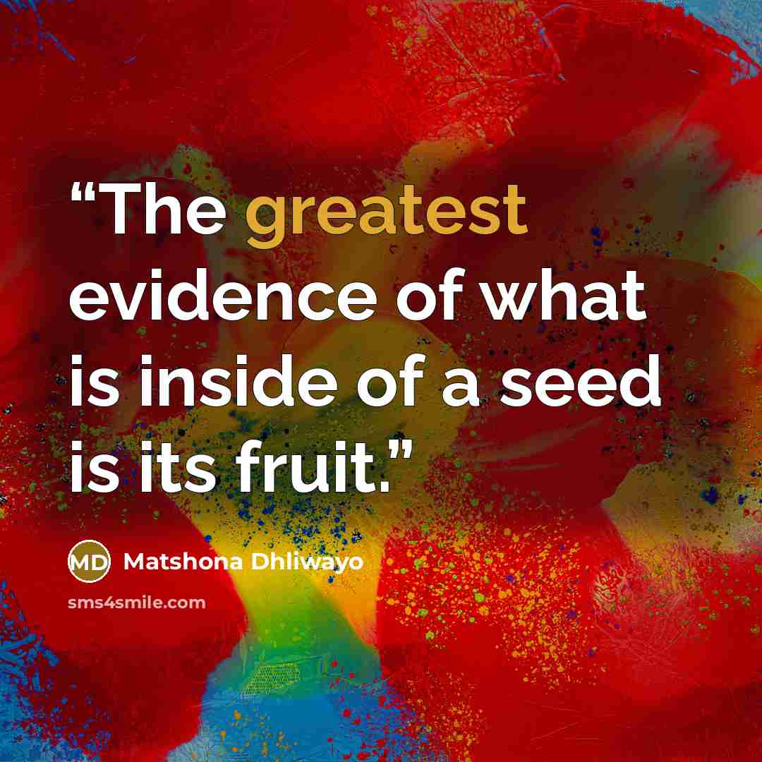“The greatest evidence of what is inside of a seed is its fruit.” quote by Matshona Dhliwayo