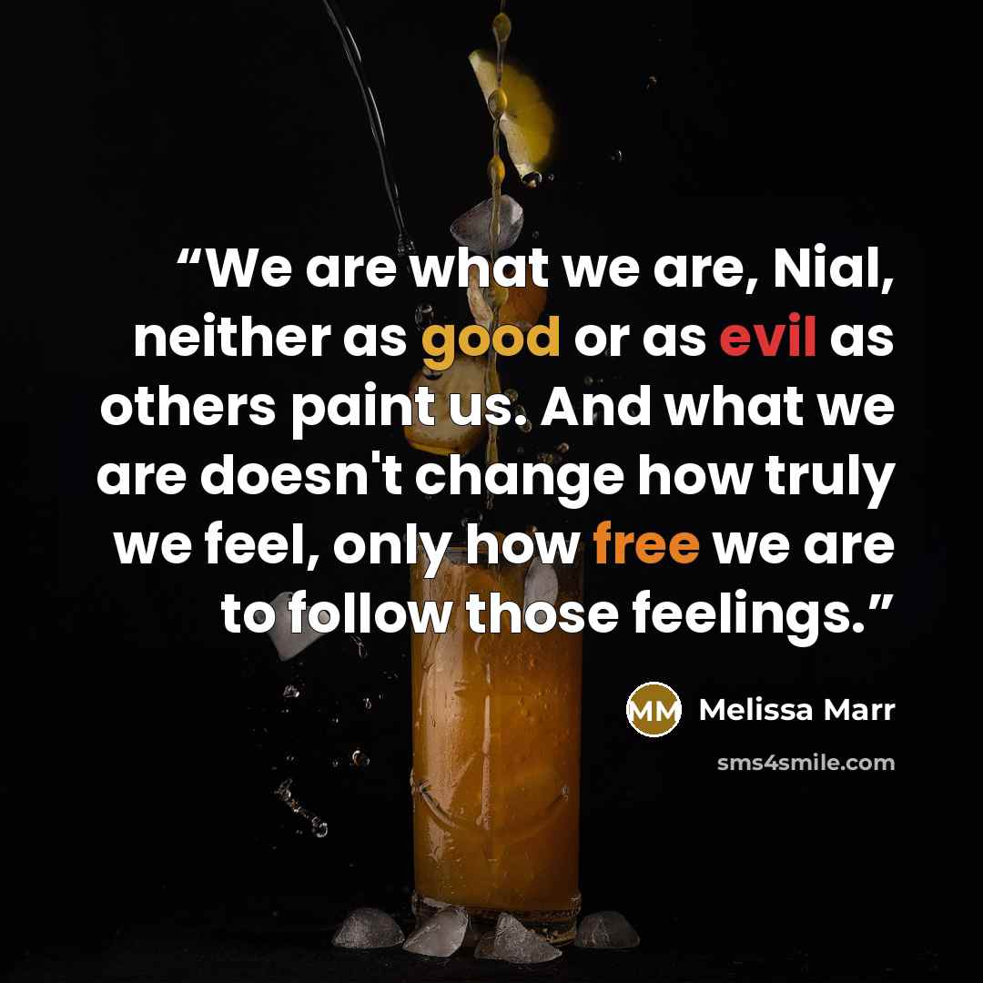 “We are what we are, Nial, neither as good or as evil as others paint us. And what we are doesn't change how truly we feel, only how free we are to follow those feelings.” quote by Melissa Marr