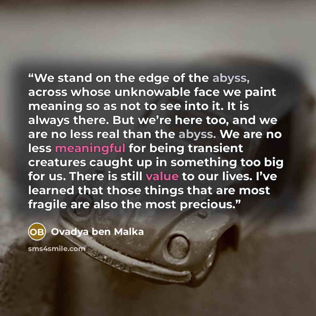 “We stand on the edge of the abyss, across whose unknowable face we paint meaning so as not to see into it. It is always there. But we’re here too, and we are no less real than the abyss. We are no less meaningful for being transient creatures caught up in something too big for us. There is still…” quote by Ovadya ben Malka