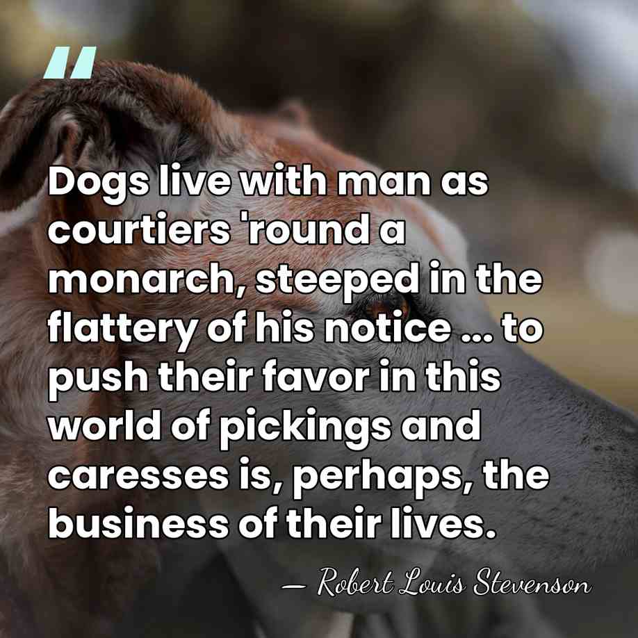Dogs live with man as courtiers 'round a monarch, steeped in the&hellip; - Robert Louis Stevenson