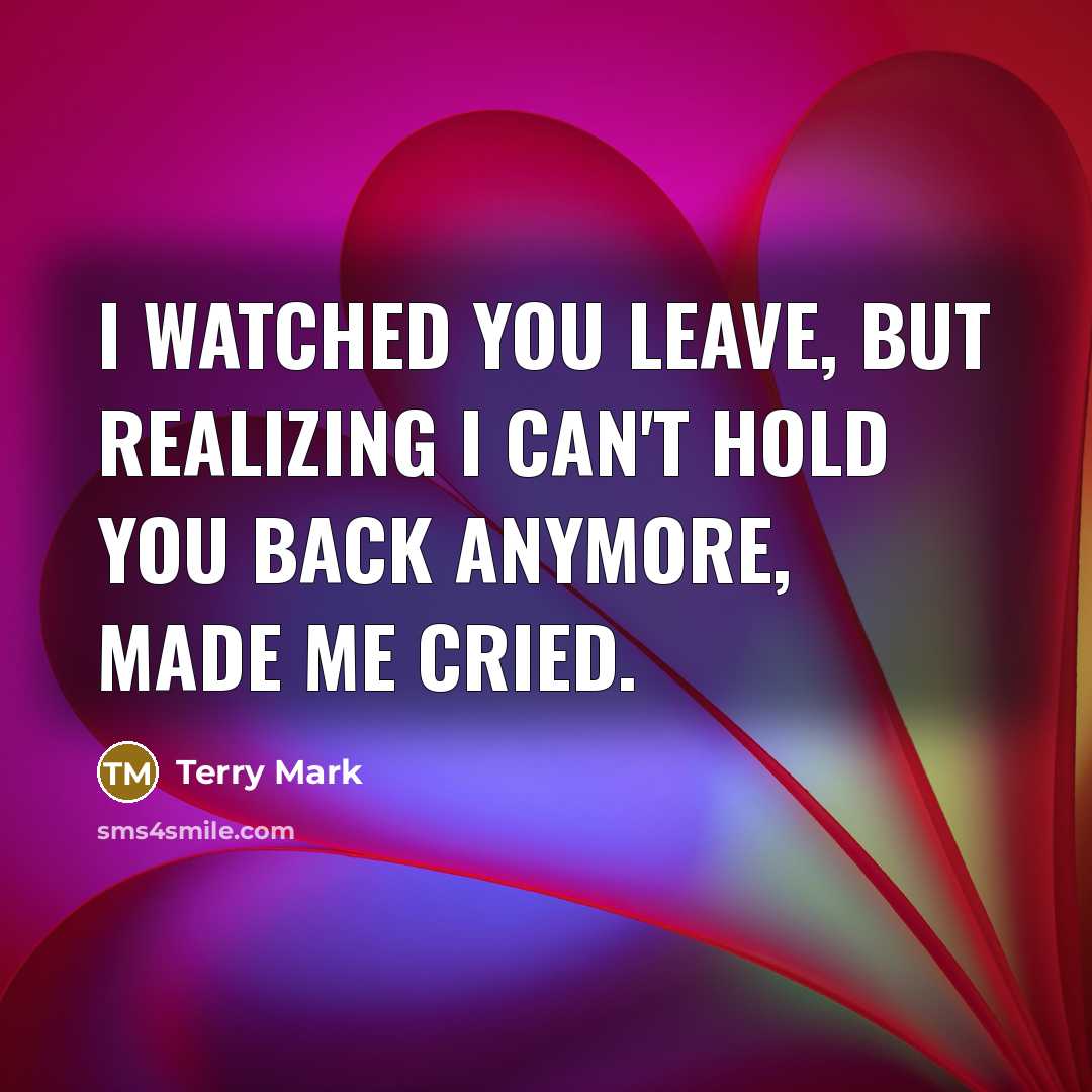 “I watched you leave, but realizing I can't hold you…” quote by Terry Mark