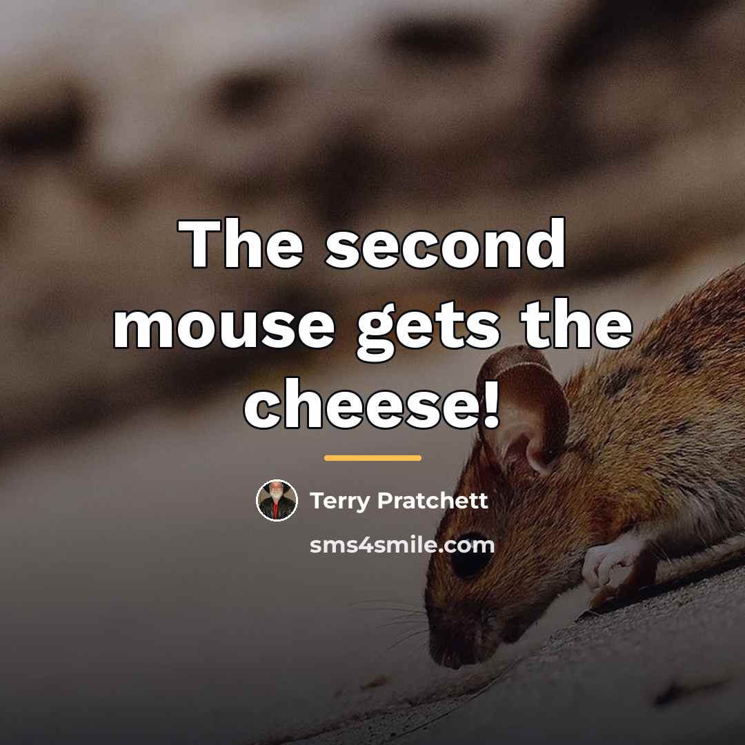 “The second mouse gets the cheese!…” quote by Terry Pratchett
