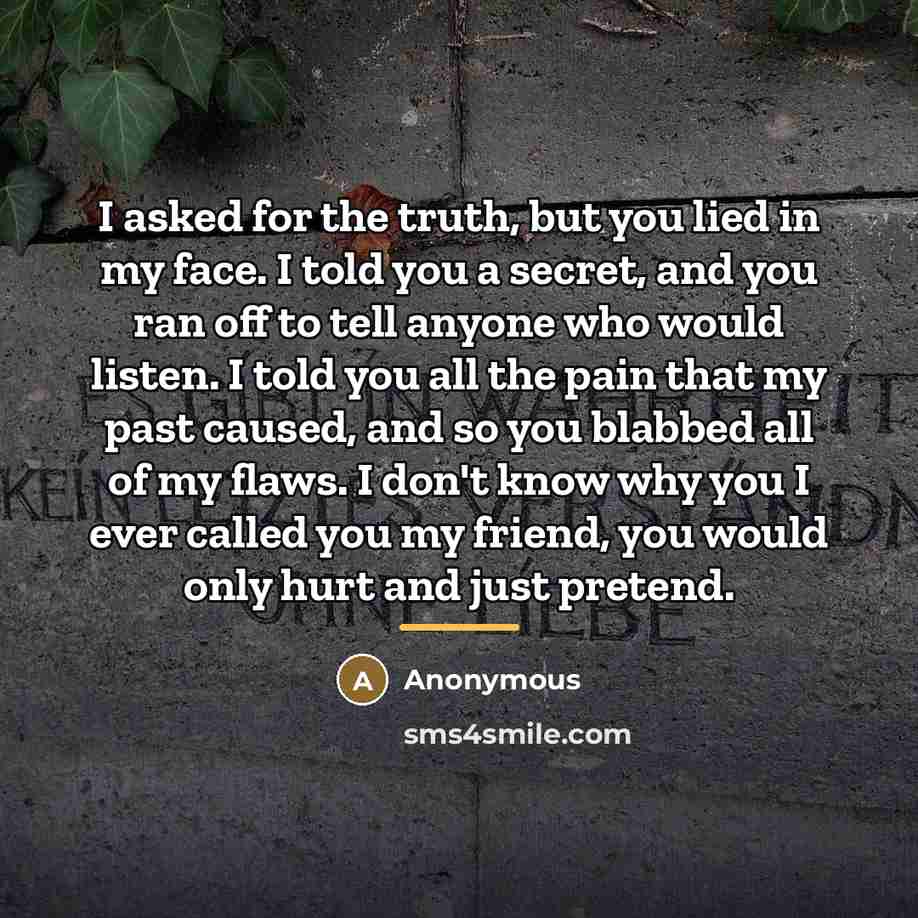 “I asked for the truth, but you lied in my…” quote by Anonymous