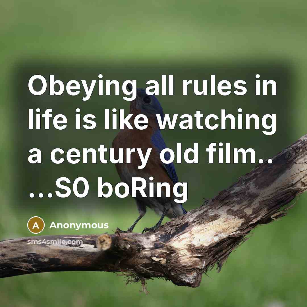 “Obeying all rules in life is like watching a century…” quote by Anonymous