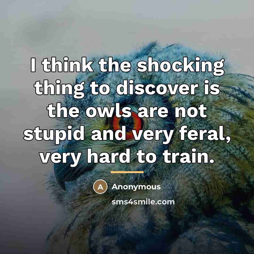 “I think the shocking thing to discover is the owls…” quote by Anonymous