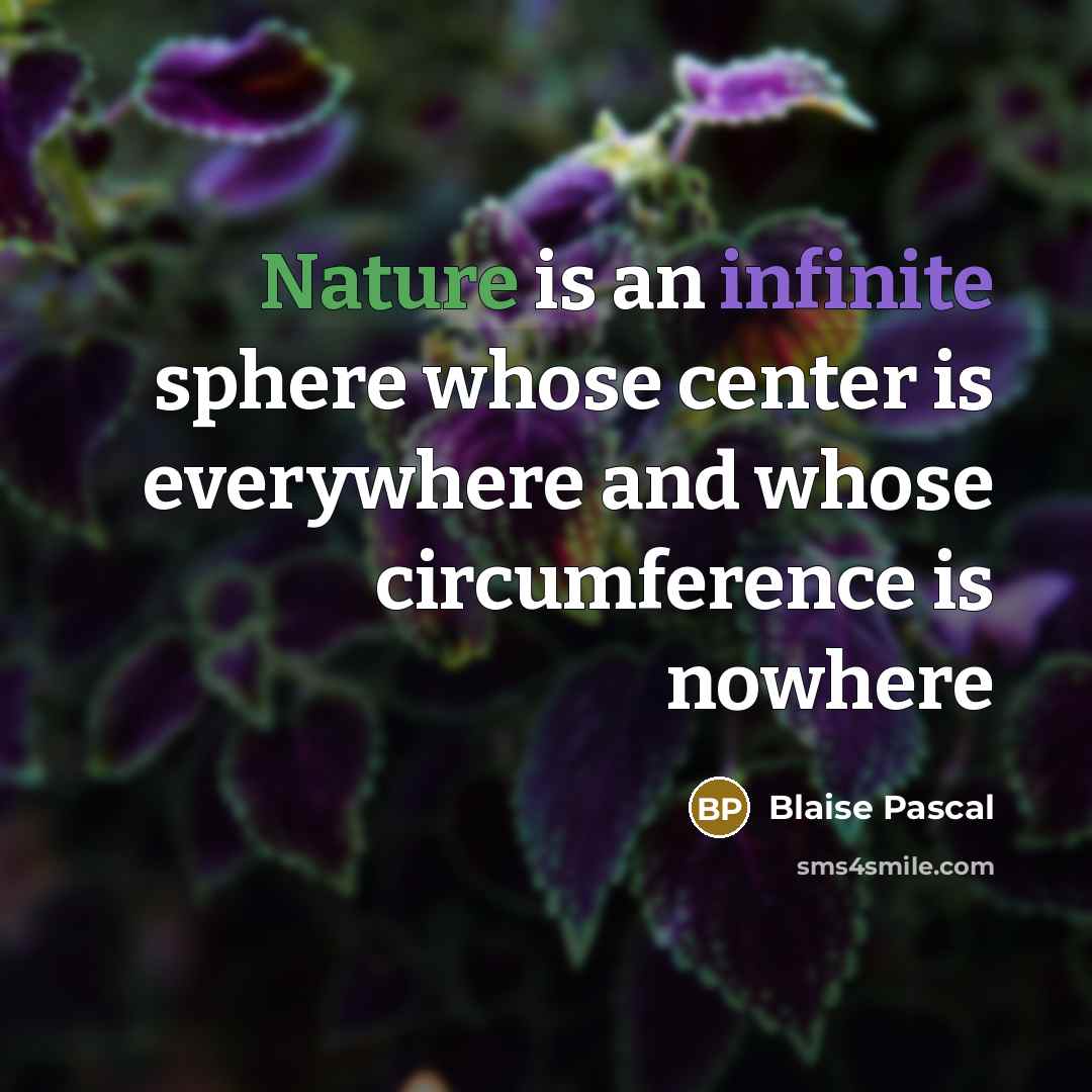 “Nature is an infinite sphere whose center is everywhere and whose circumference is nowhere” quote by Blaise Pascal