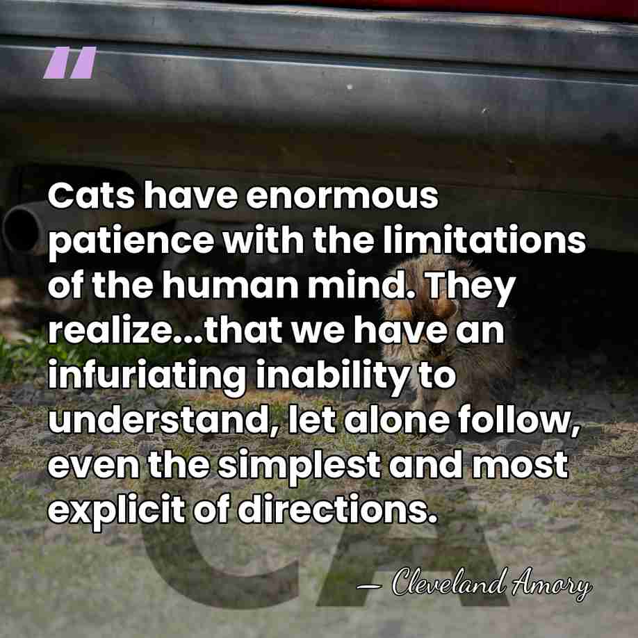 Cats have enormous patience with the limitations of the human mind. They&hellip; - Cleveland Amory