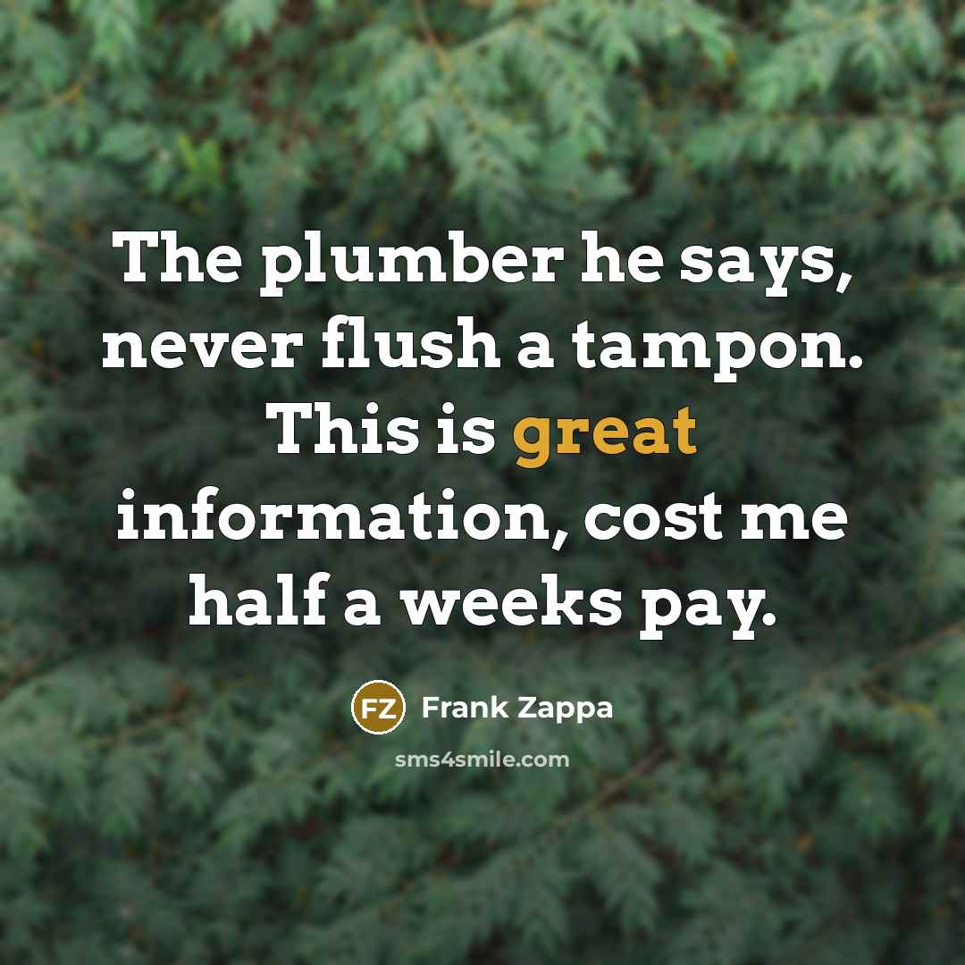 “The plumber he says, never flush a tampon. This is…” quote by Frank Zappa