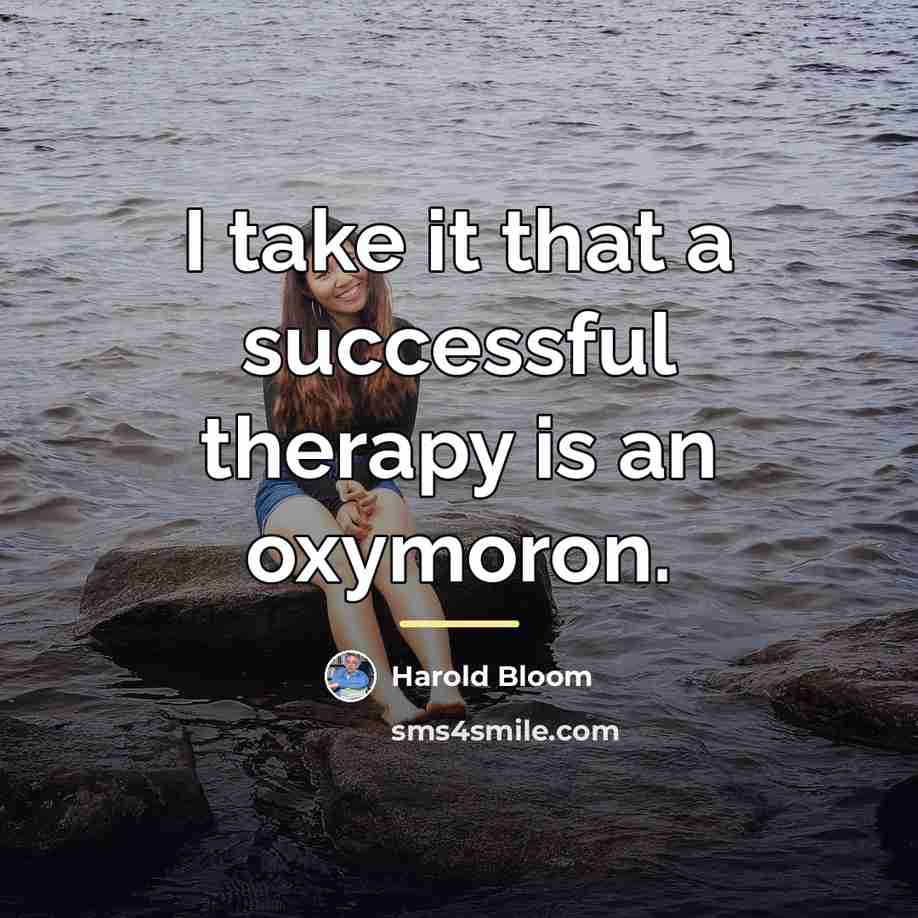 “I take it that a successful therapy is an oxymoron.…” quote by Harold Bloom